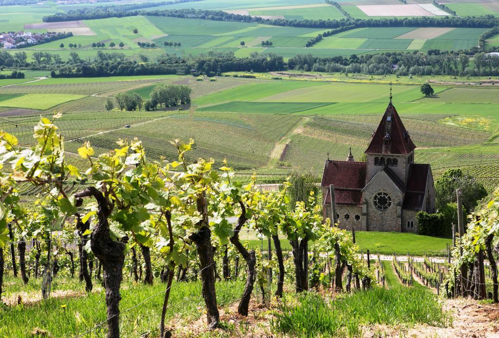 Hofgut Wissberg - Das Weinberghotel Sankt Johann  エクステリア 写真